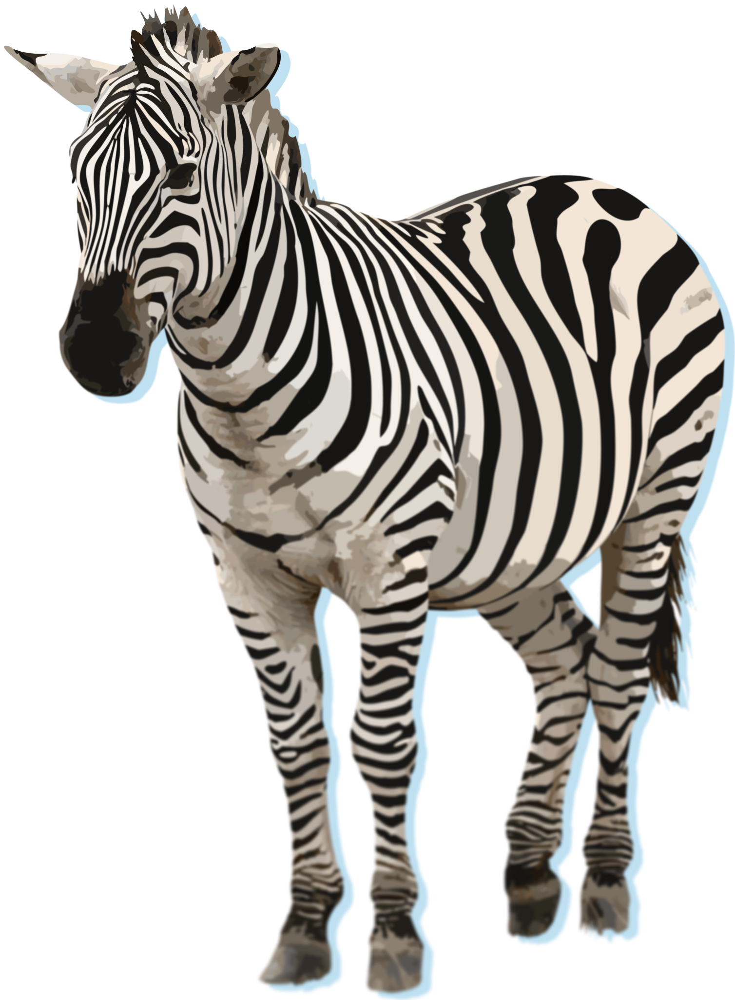 The SIGHORSE 2026 horse
